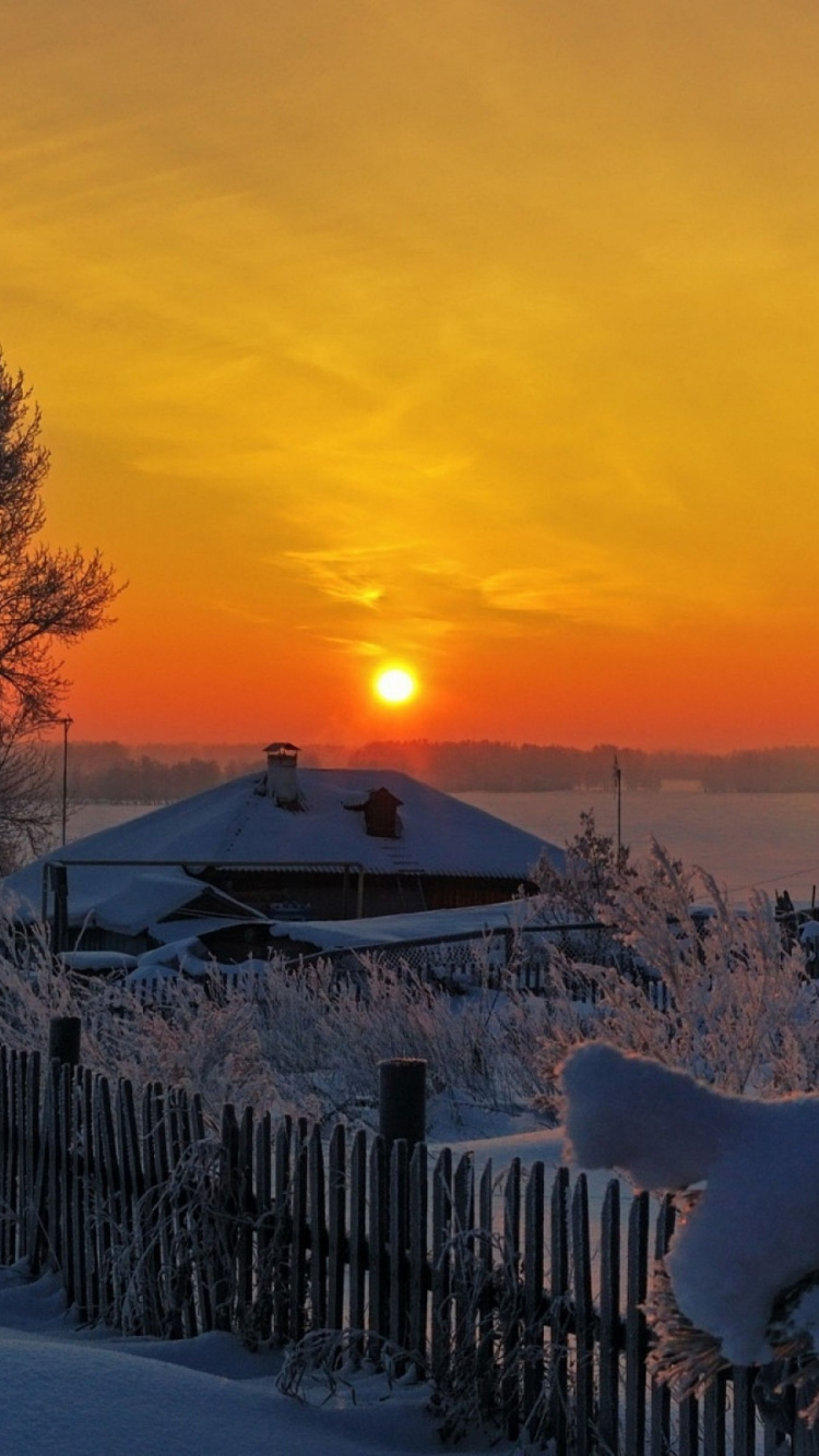 Weiße Schafe Auf Schneebedecktem Boden Bei Sonnenuntergang. Wallpaper in 750x1334 Resolution