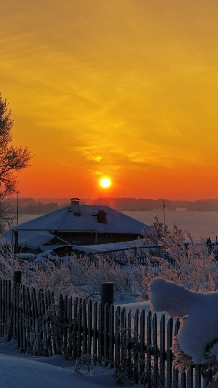 White Sheep on Snow Covered Ground During Sunset. Wallpaper in 720x1280 Resolution