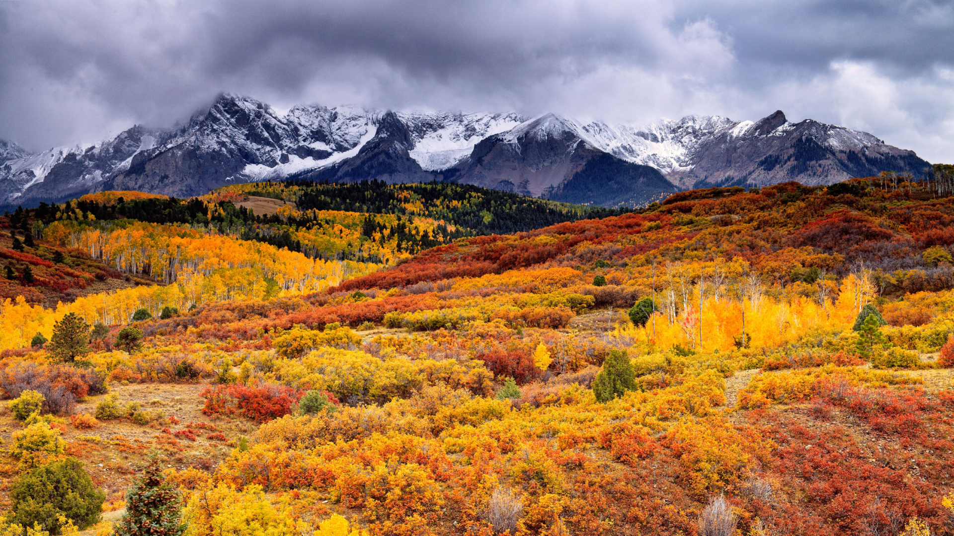 Yellow and Red Flower Field Near Snow Covered Mountain Under Cloudy Sky During Daytime. Wallpaper in 1920x1080 Resolution