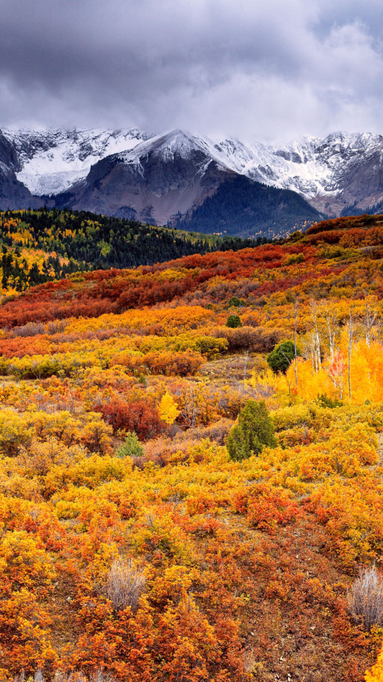 Yellow and Red Flower Field Near Snow Covered Mountain Under Cloudy Sky During Daytime. Wallpaper in 750x1334 Resolution