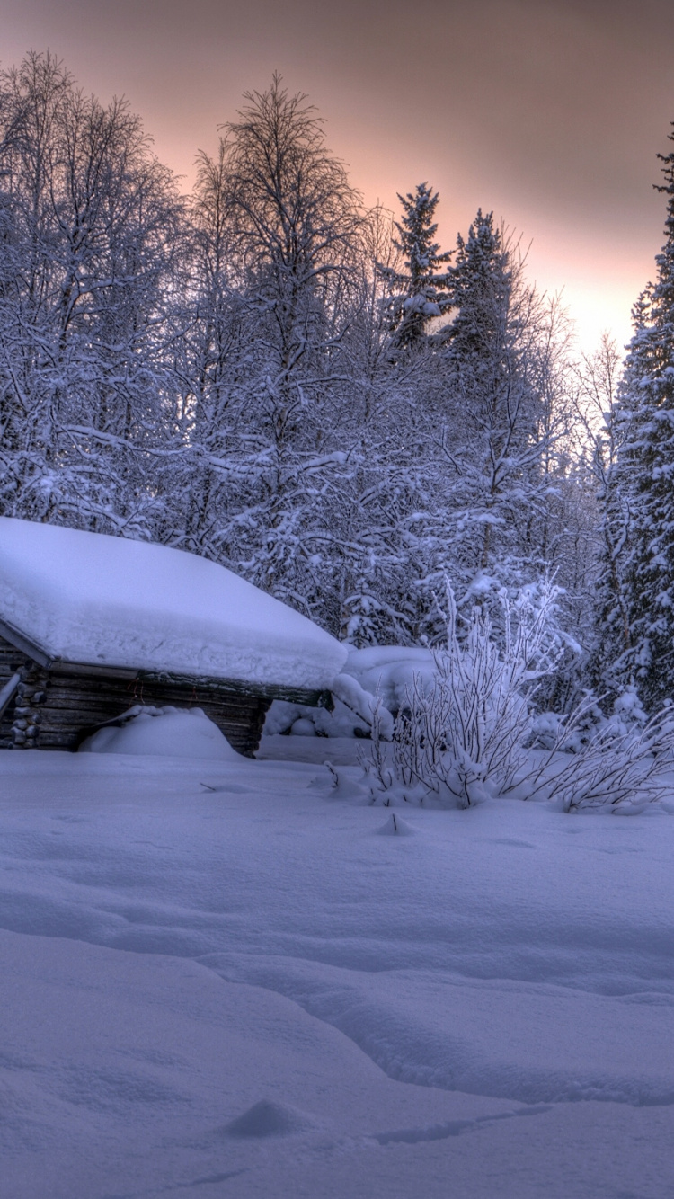 Schneebedecktes Haus in Der Nähe Von Bäumen Tagsüber. Wallpaper in 750x1334 Resolution