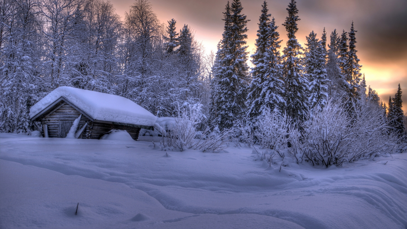 Maison Couverte de Neige Près Des Arbres Pendant la Journée. Wallpaper in 1366x768 Resolution