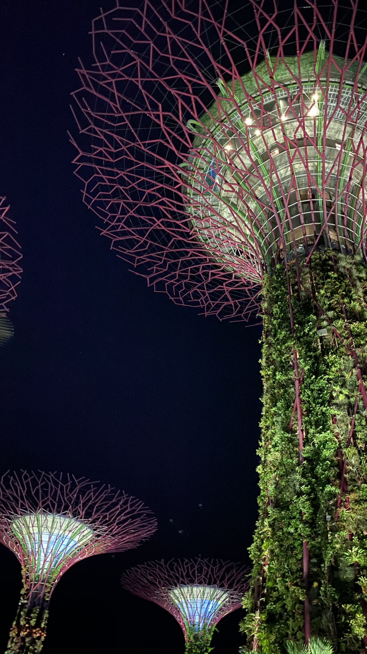 Singapore, Nature, Tourist Attraction, Biology, Physics. Wallpaper in 750x1334 Resolution