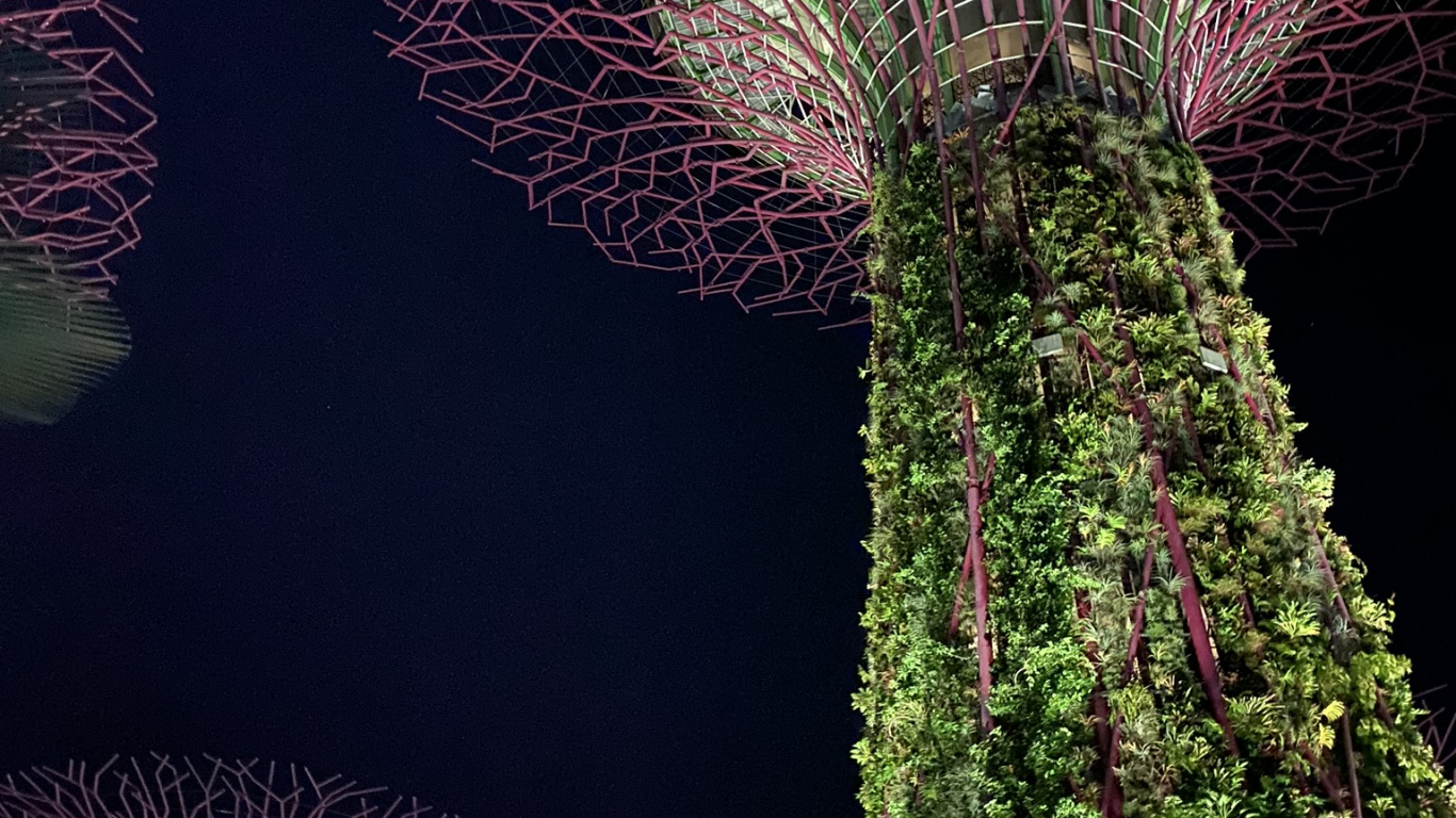 Singapur, Natur, Sehenswürdigkeit, Biologie, Physik. Wallpaper in 1366x768 Resolution