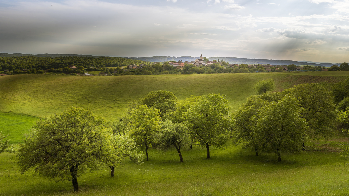 Green Grass Field and Trees Under White Clouds During Daytime. Wallpaper in 1366x768 Resolution