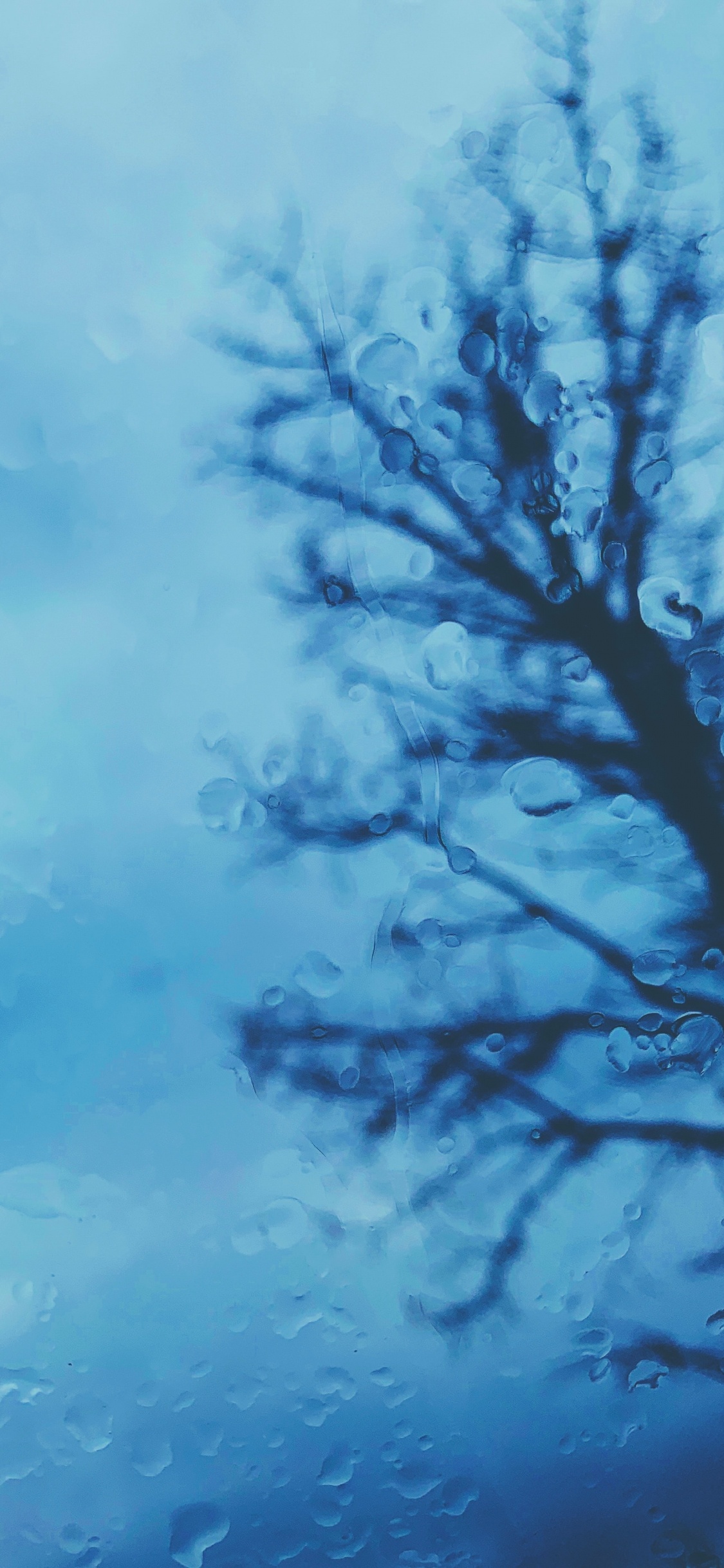 Black Tree Branch Under White Clouds. Wallpaper in 1125x2436 Resolution