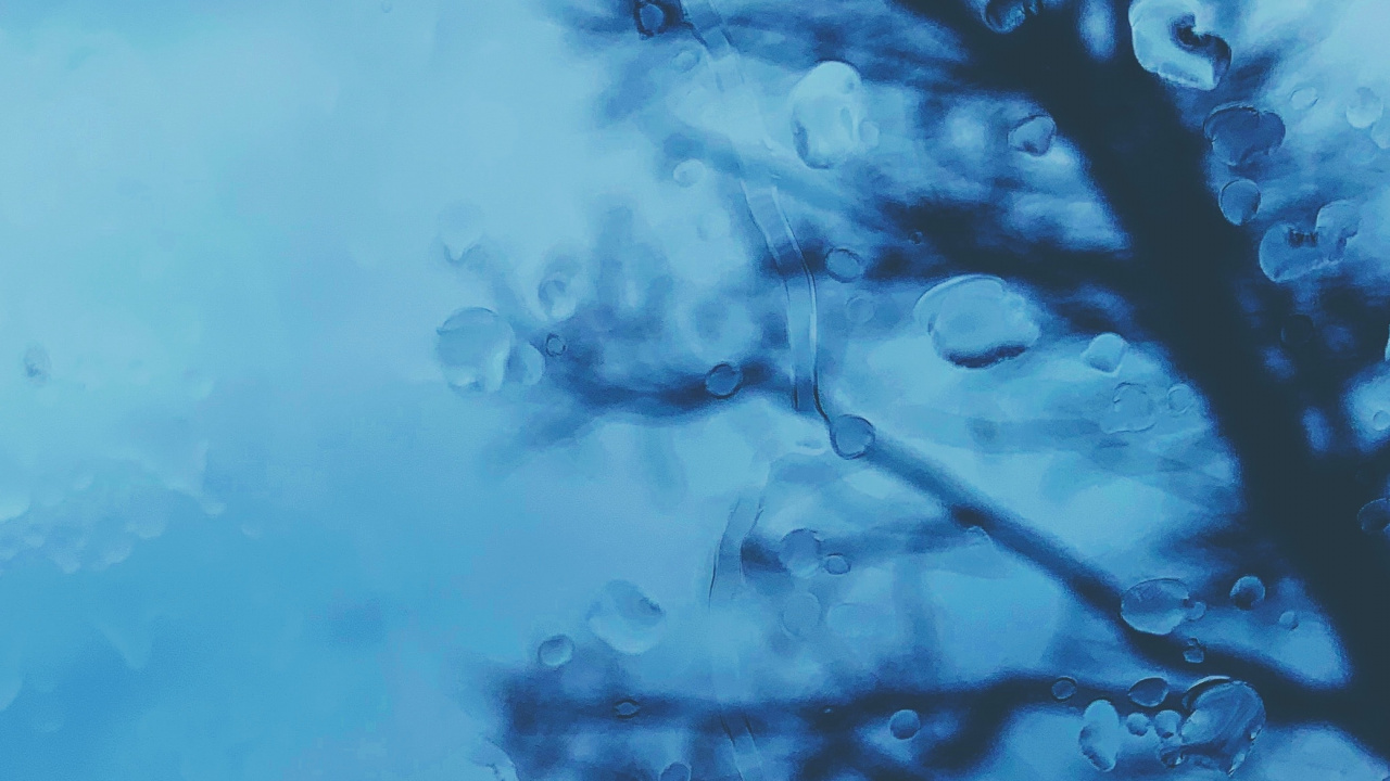 Black Tree Branch Under White Clouds. Wallpaper in 1280x720 Resolution