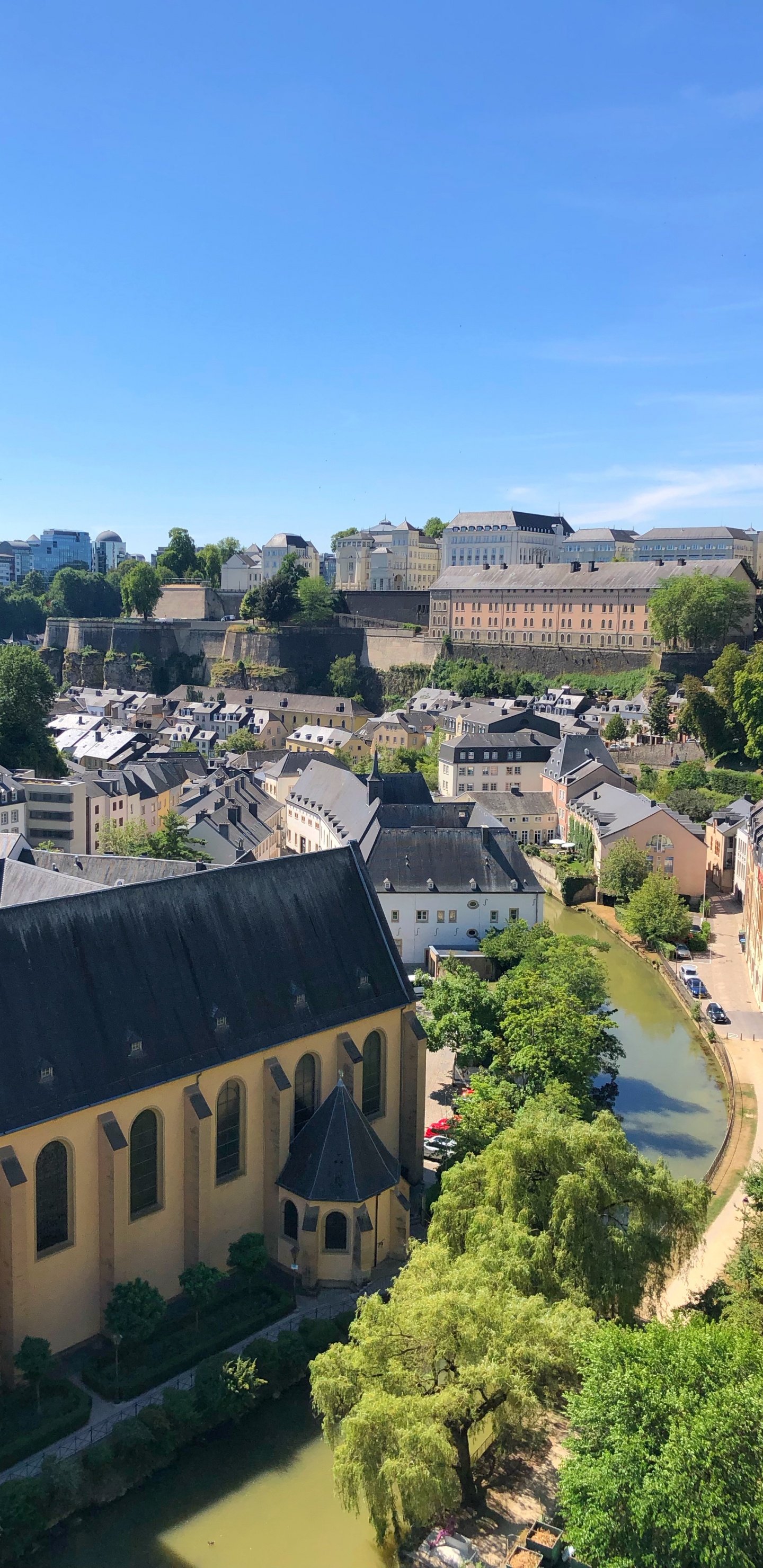 Razón, fc Hibernian, Ventana, Barrio, Zona Residencial. Wallpaper in 1440x2960 Resolution