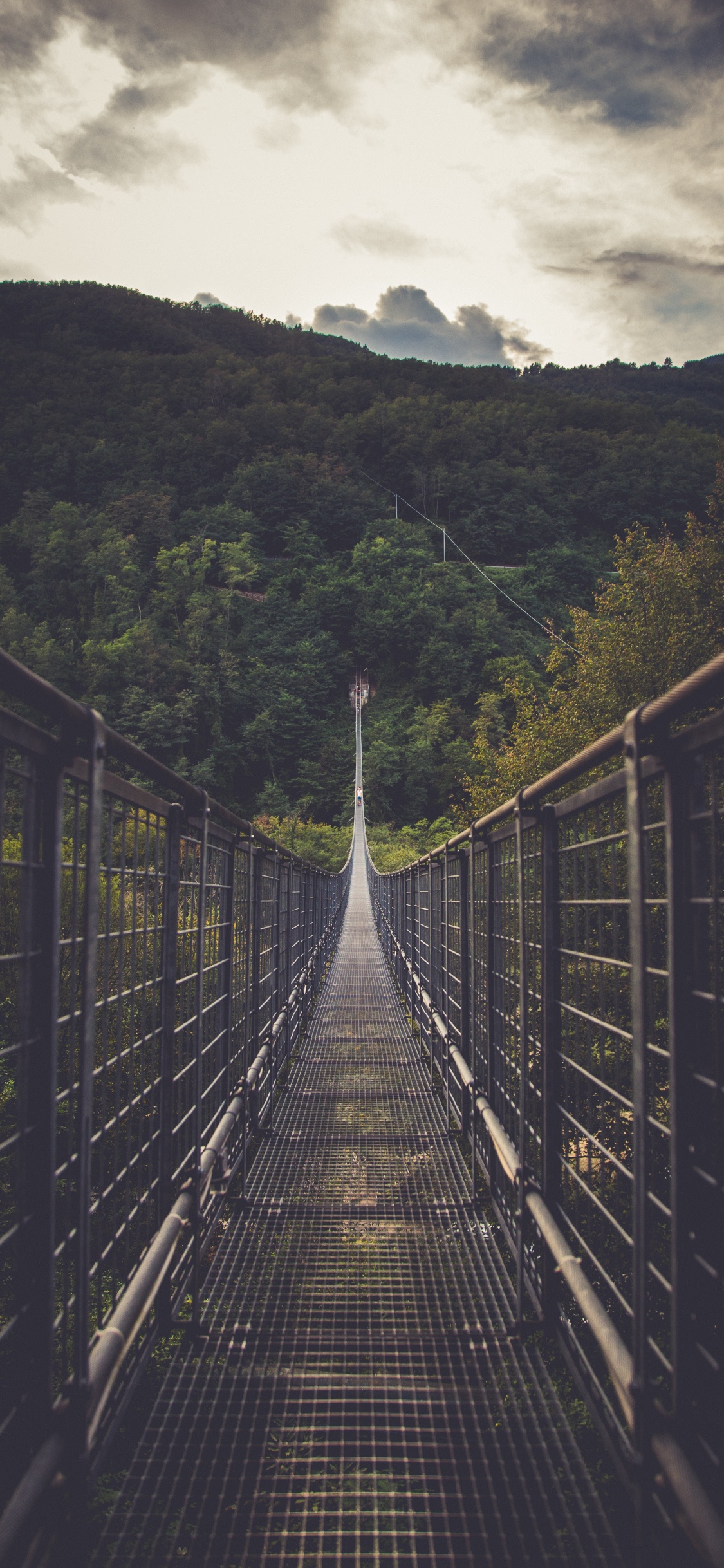 Pont, Pont Suspendu, Ligne, Nature, Artère. Wallpaper in 1125x2436 Resolution