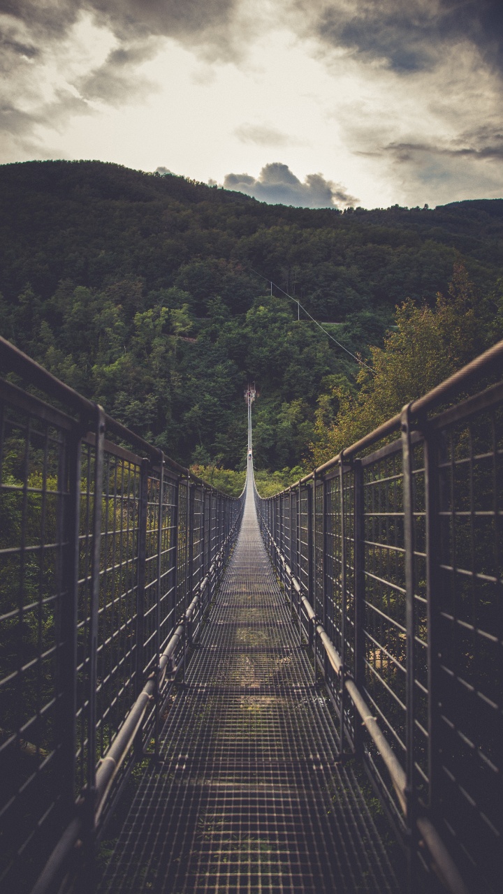 Bridge, Suspension Bridge, Line, Tree, Nature. Wallpaper in 720x1280 Resolution