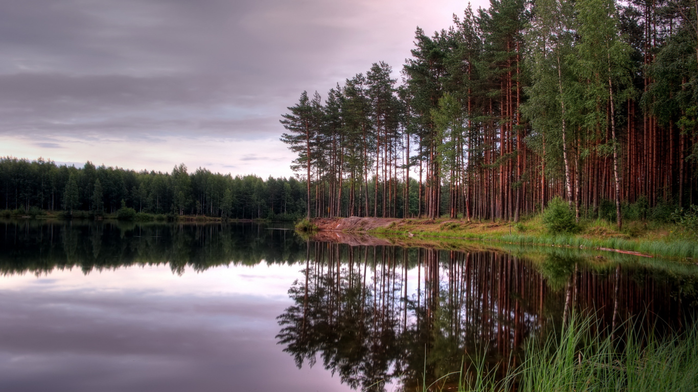 Arbres Verts au Bord du Lac Sous un Ciel Nuageux Pendant la Journée. Wallpaper in 1366x768 Resolution