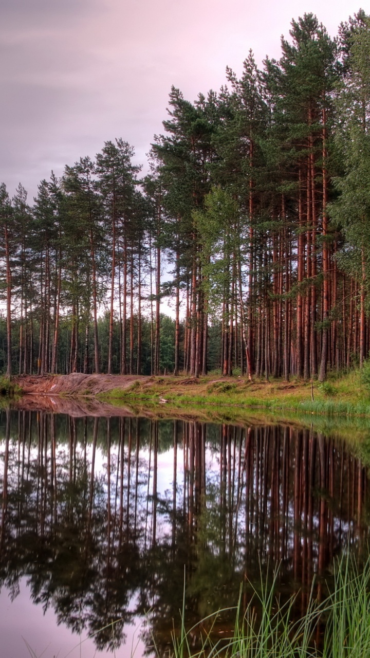Green Trees Beside Lake Under Cloudy Sky During Daytime. Wallpaper in 720x1280 Resolution