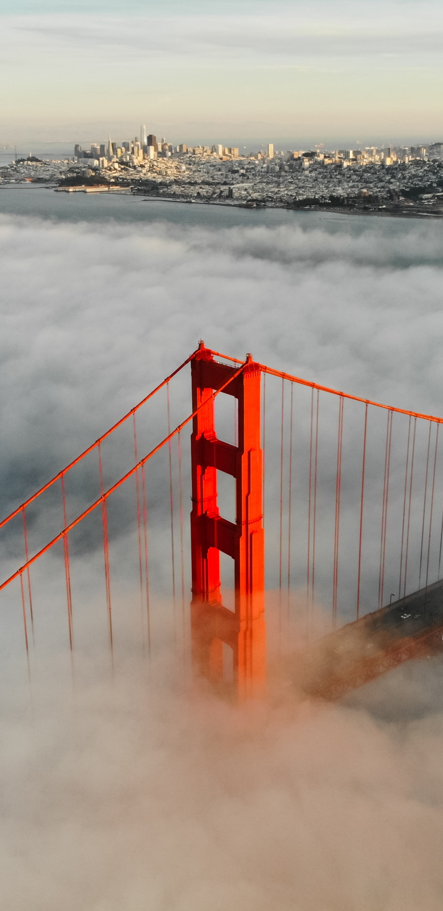 Puente Rojo Sobre Las Nubes. Wallpaper in 1440x2960 Resolution