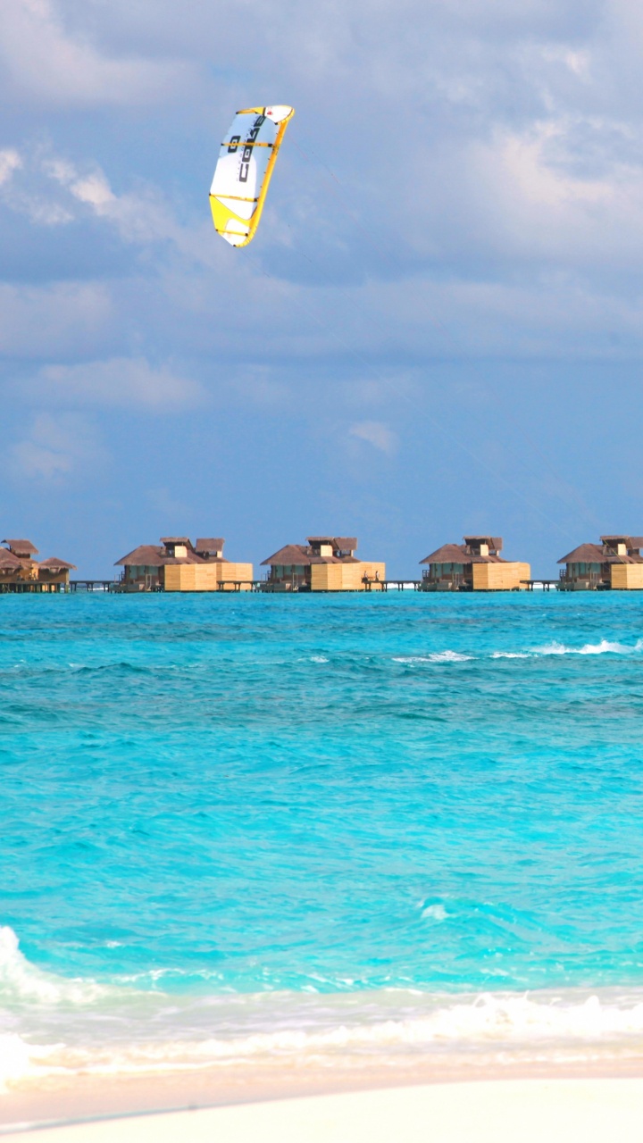People on Beach During Daytime. Wallpaper in 720x1280 Resolution