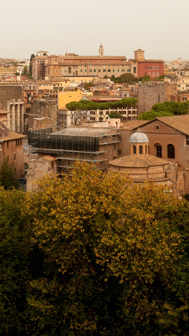 Bâtiment en Béton Brun Près Des Arbres Verts Pendant la Journée. Wallpaper in 720x1280 Resolution