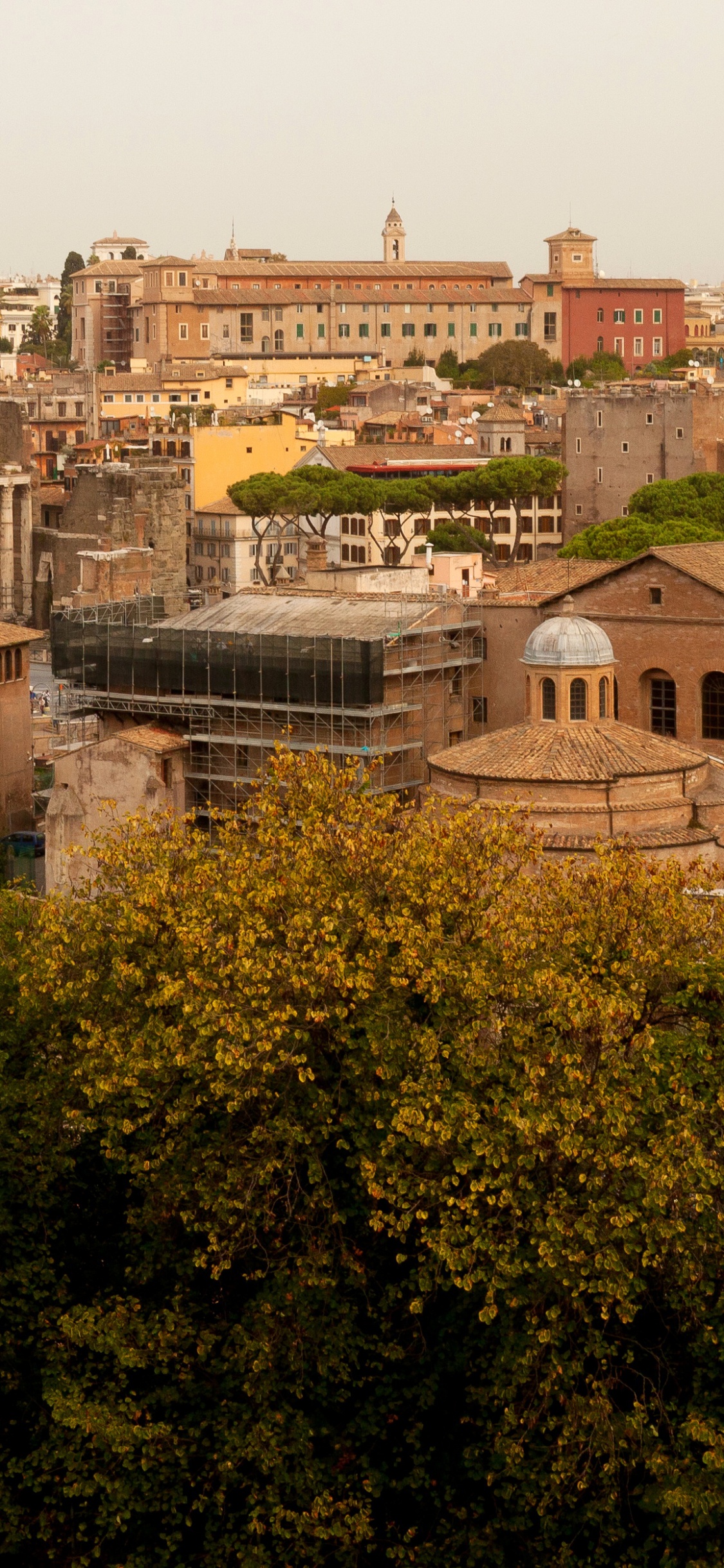 Brown Concrete Building Near Green Trees During Daytime. Wallpaper in 1125x2436 Resolution