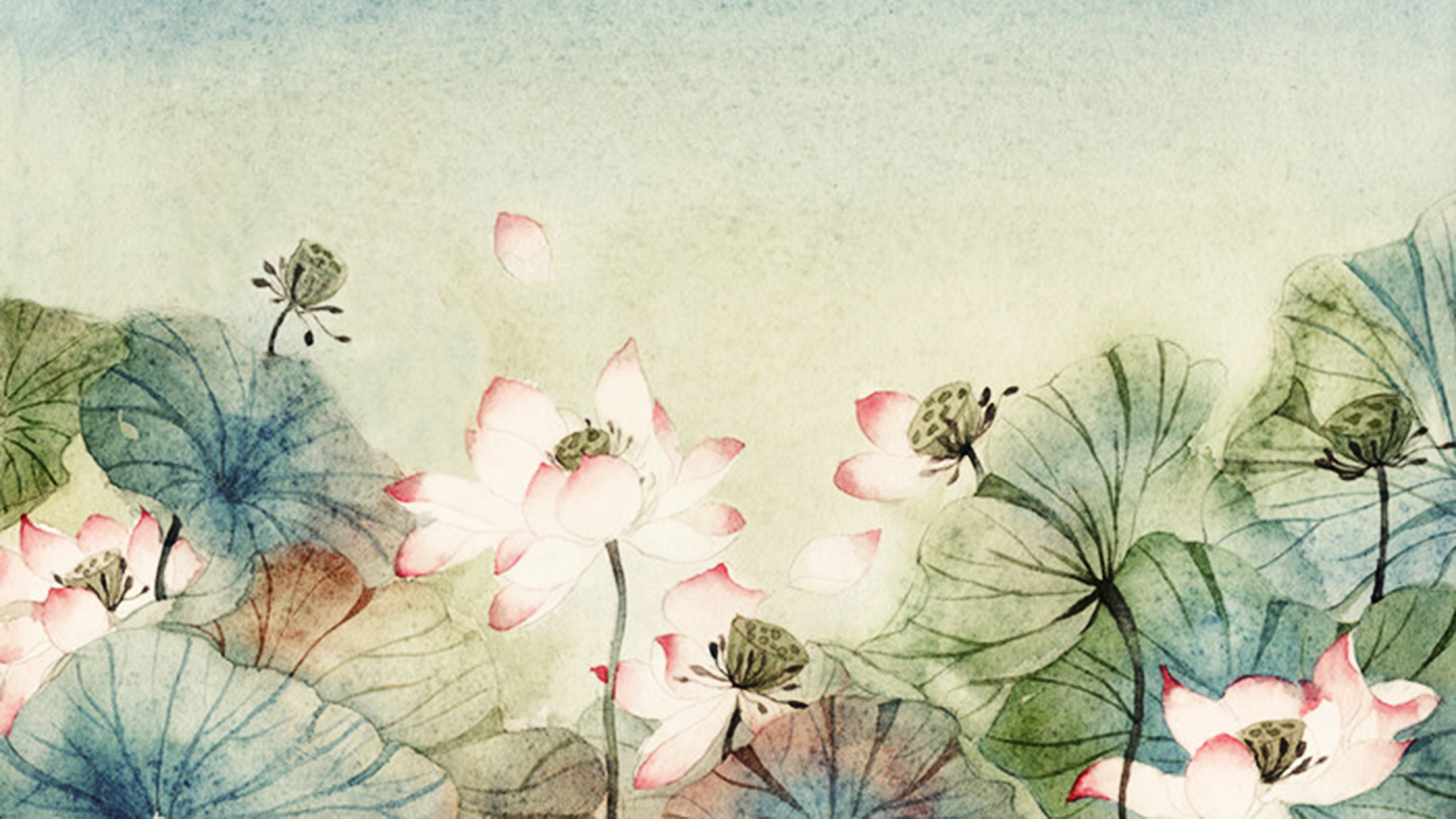 Weiße Und Rosa Blumenmalerei. Wallpaper in 2560x1440 Resolution