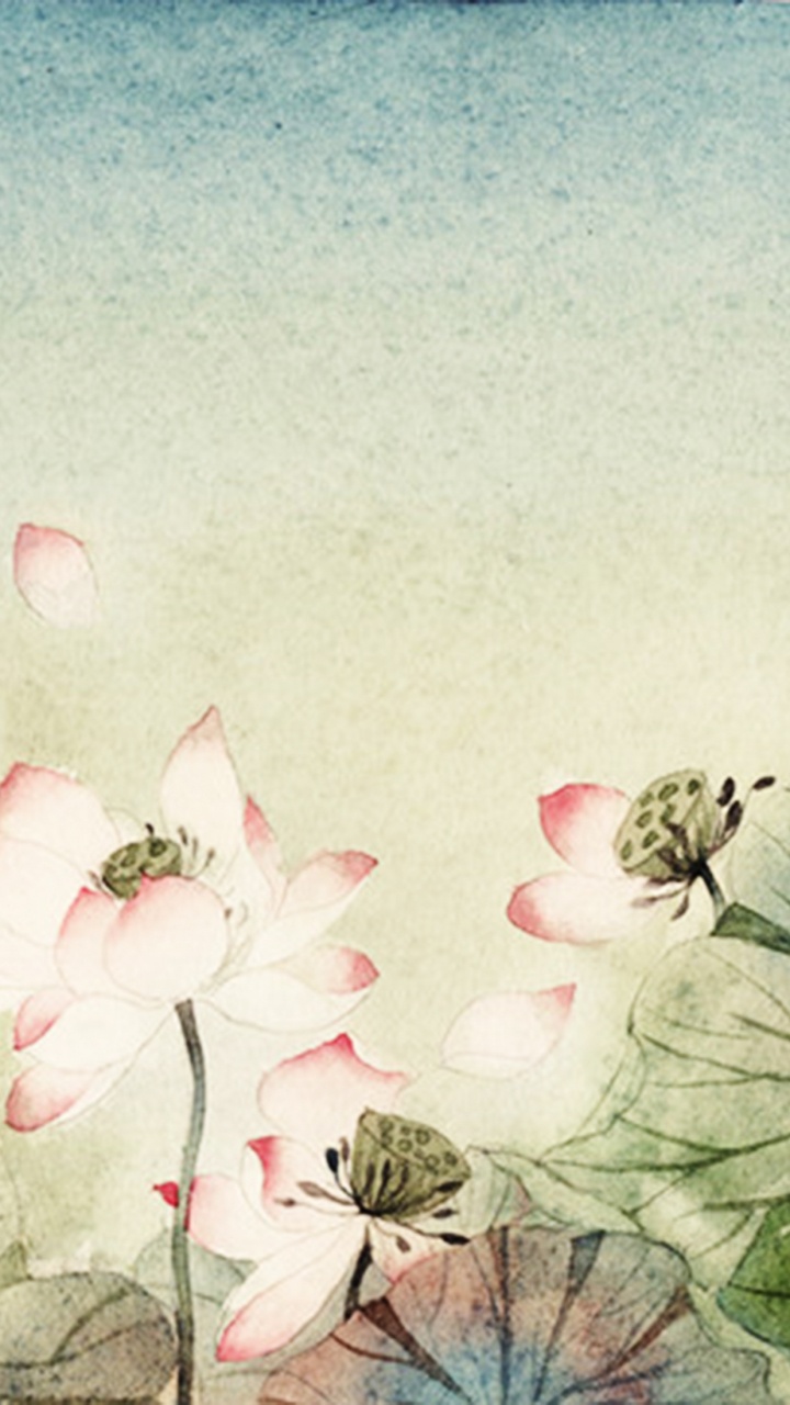 White and Pink Flower Painting. Wallpaper in 720x1280 Resolution