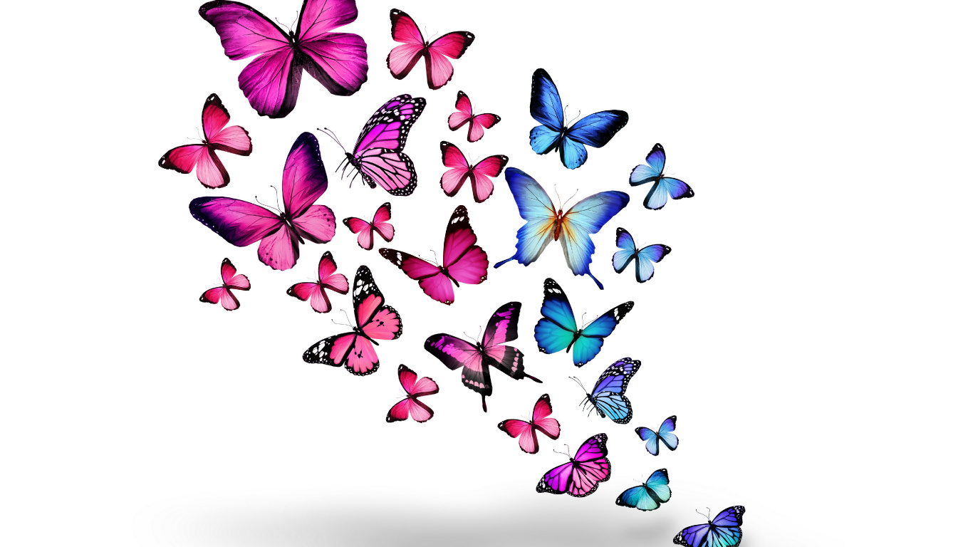 Blaue Und Lila Schmetterlinge Auf Weißem Hintergrund. Wallpaper in 1366x768 Resolution