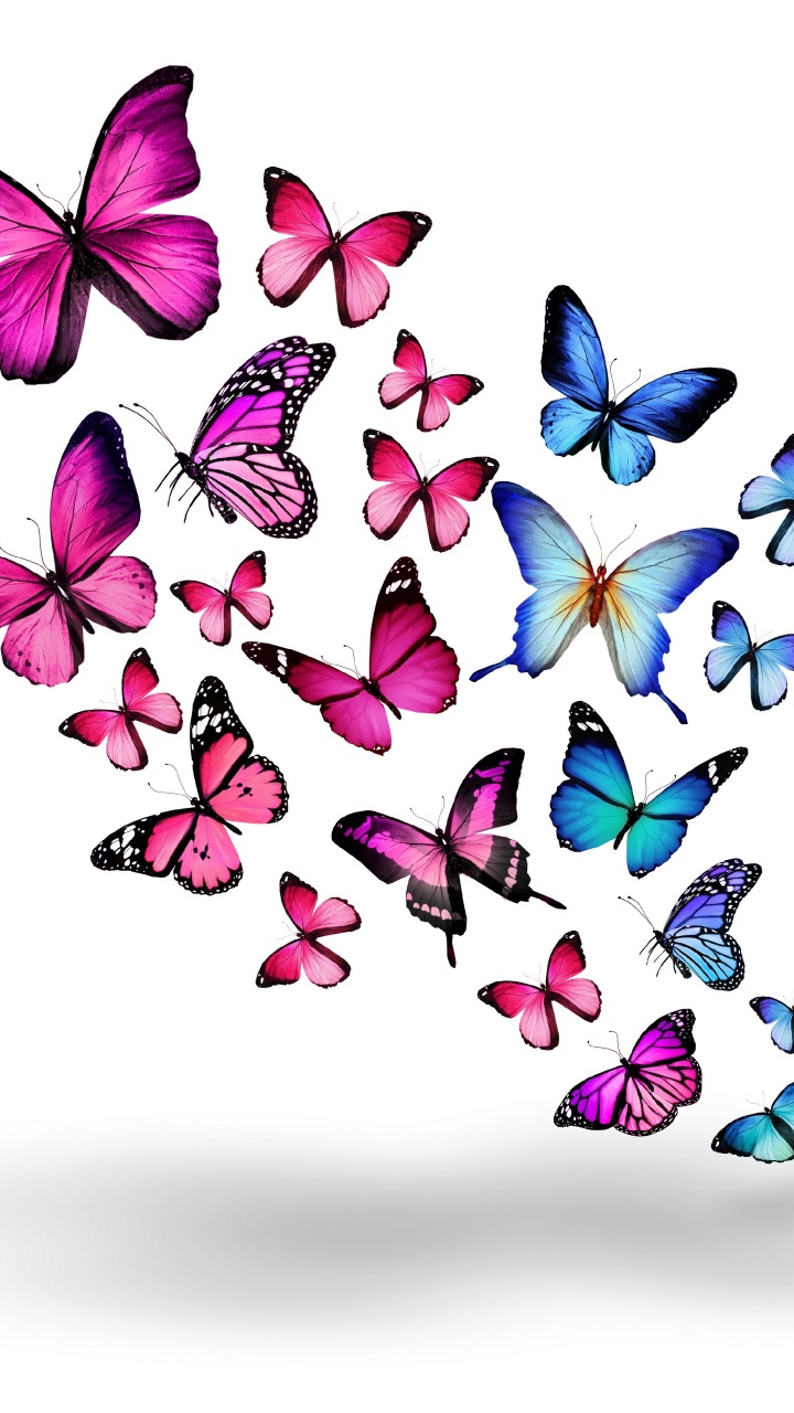 Blaue Und Lila Schmetterlinge Auf Weißem Hintergrund. Wallpaper in 720x1280 Resolution