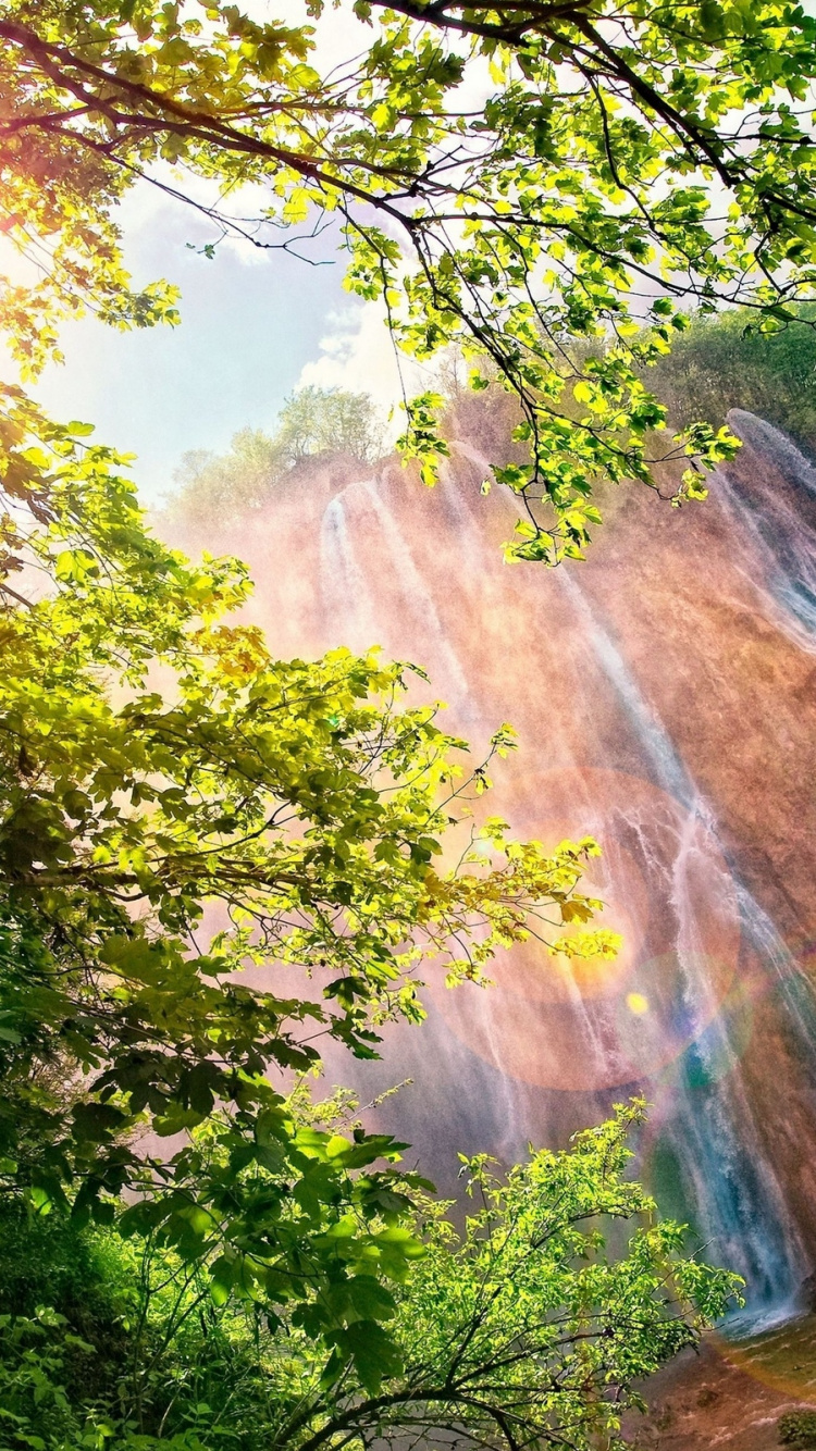 Green Trees Near Brown Mountain During Daytime. Wallpaper in 750x1334 Resolution