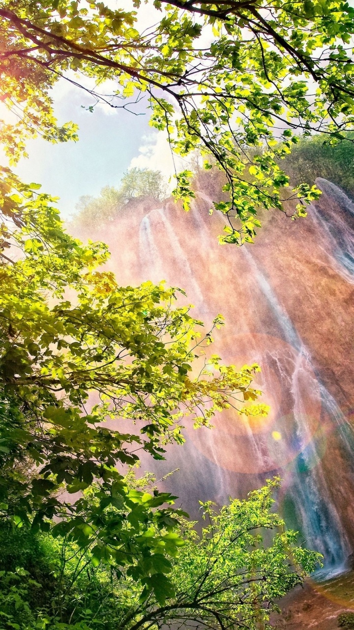 自然景观, 性质, 植被, 自然保护区, 水道 壁纸 720x1280 允许