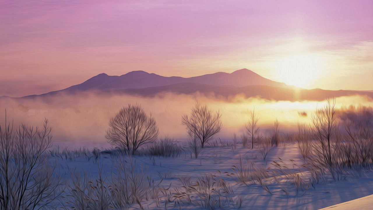 Bare Trees on Snow Covered Ground During Daytime. Wallpaper in 1280x720 Resolution