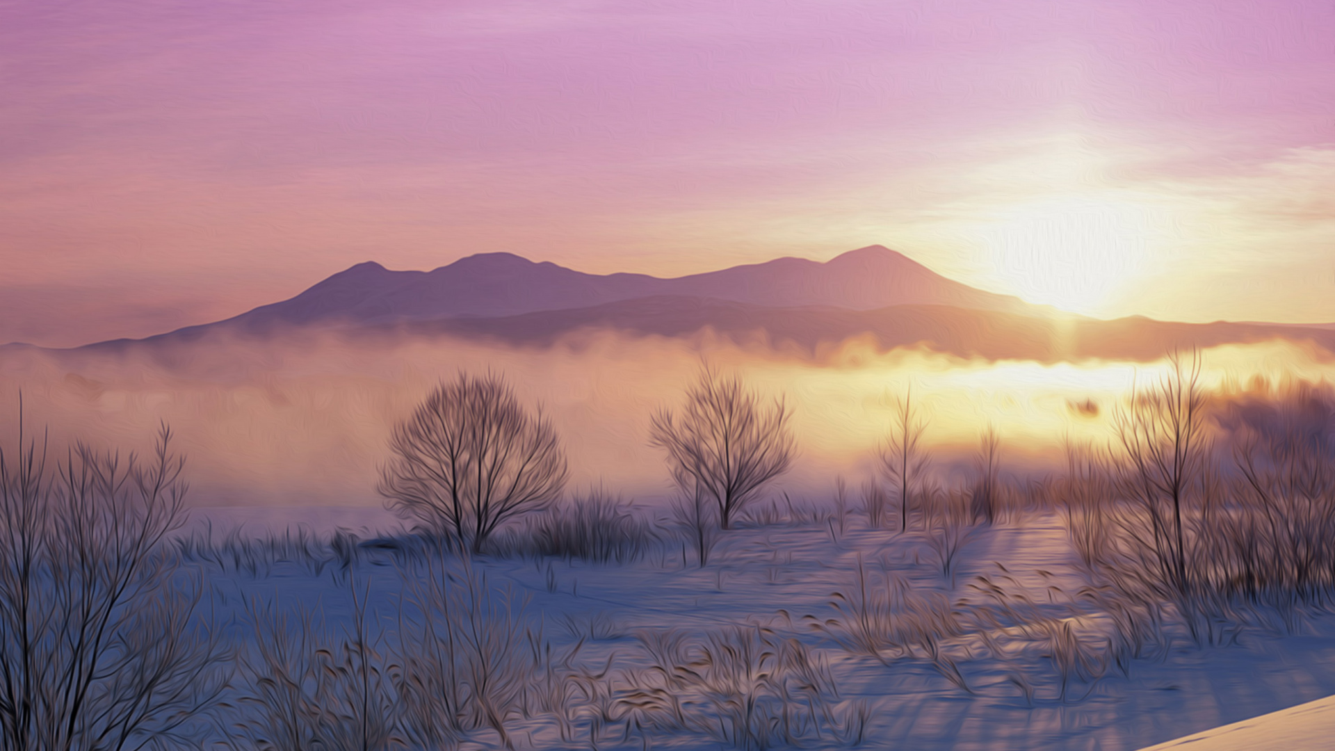 Bare Trees on Snow Covered Ground During Daytime. Wallpaper in 1920x1080 Resolution