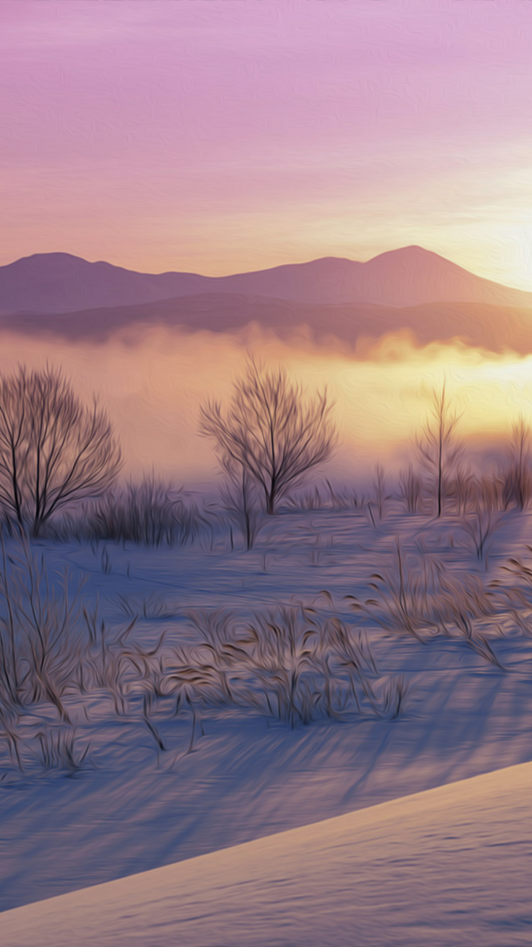 Bare Trees on Snow Covered Ground During Daytime. Wallpaper in 750x1334 Resolution