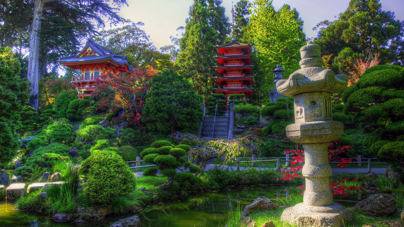 Green Trees and Plants Near Body of Water During Daytime. Wallpaper in 1366x768 Resolution