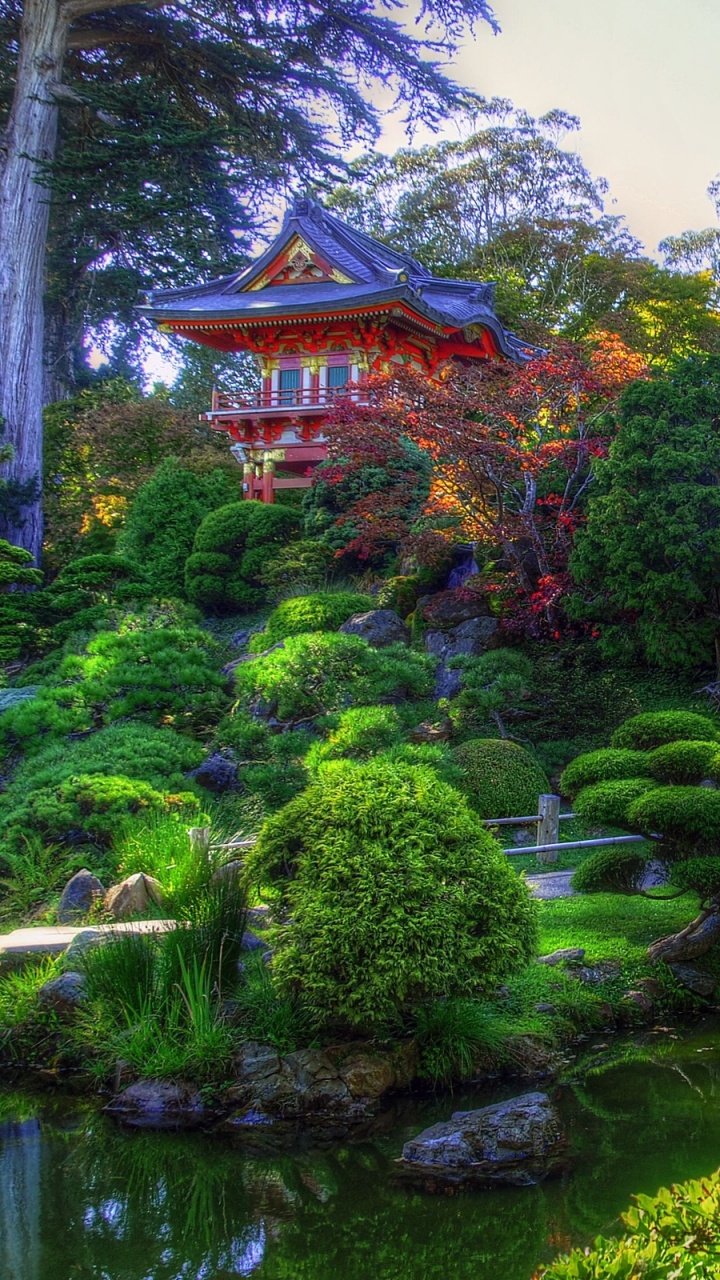 Green Trees and Plants Near Body of Water During Daytime. Wallpaper in 720x1280 Resolution