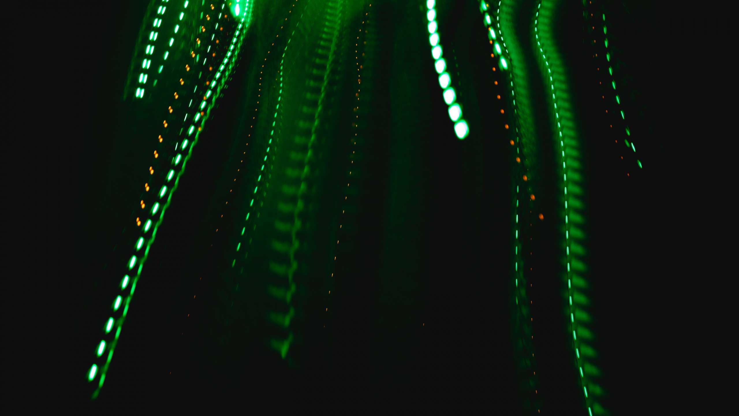 Grünes Licht Auf Schwarzem Hintergrund. Wallpaper in 2560x1440 Resolution