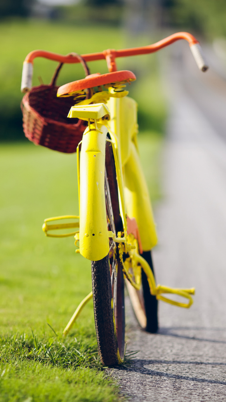 Vélo Rouge et Jaune Sur Terrain D'herbe Verte Pendant la Journée. Wallpaper in 750x1334 Resolution