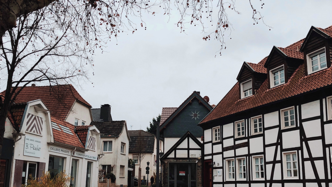 Ciencia, Biología, Ventana, Barrio, Ciudad. Wallpaper in 1280x720 Resolution