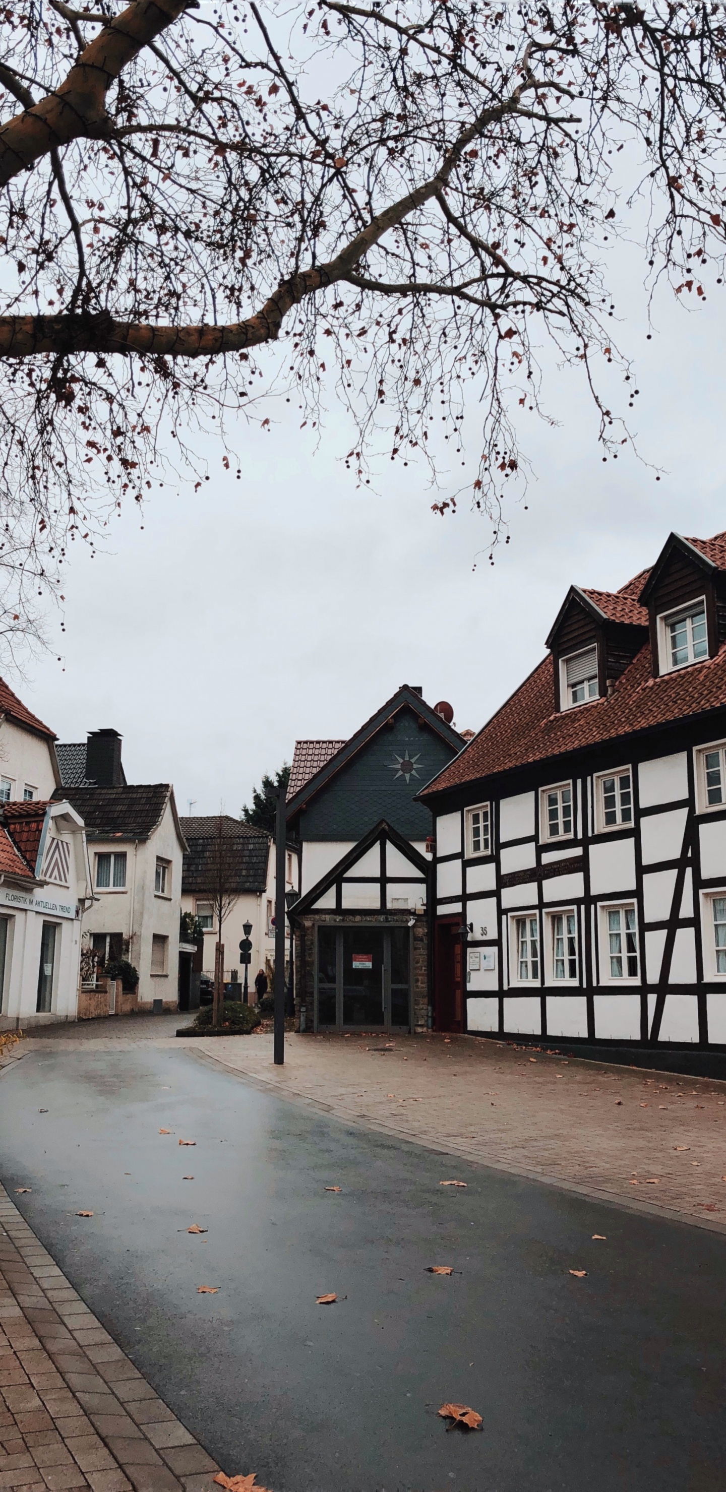 科学, 生物学, 窗口, 街区, 住宅区 壁纸 1440x2960 允许