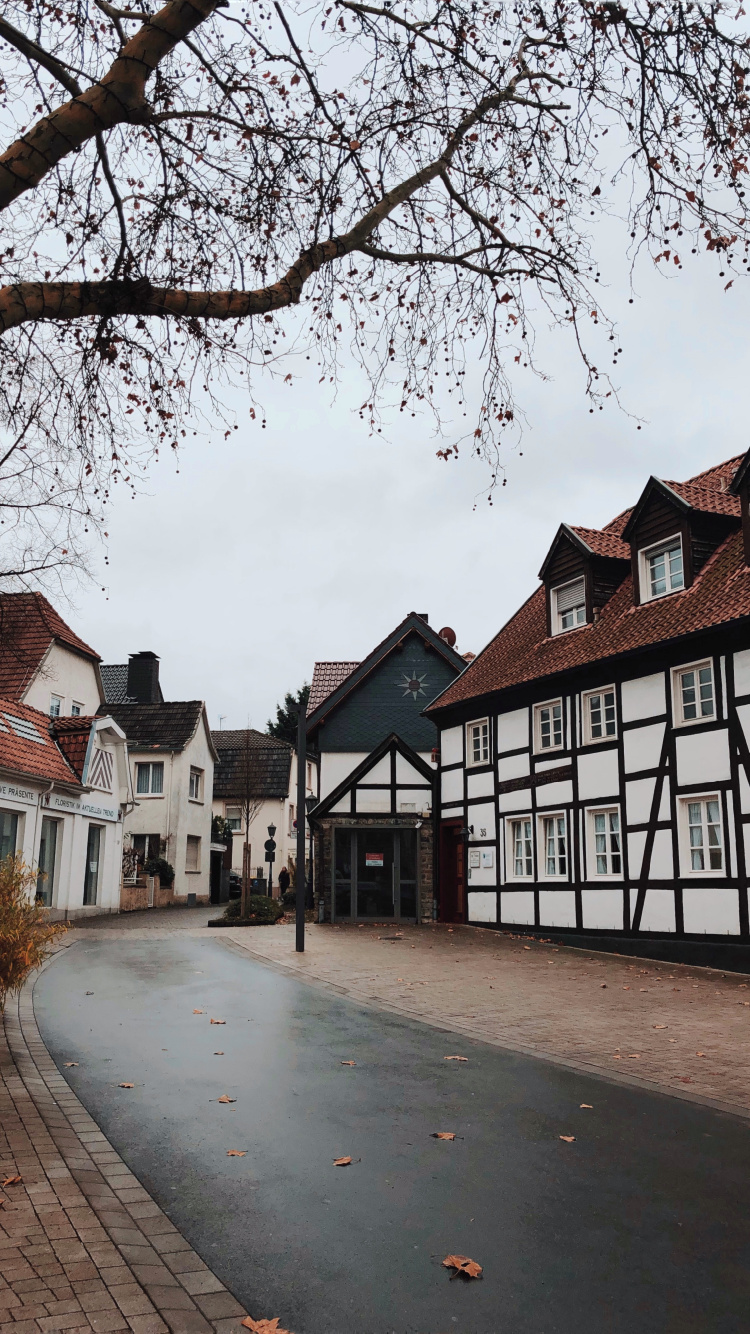 Tree, Science, Biology, Window, Neighbourhood. Wallpaper in 750x1334 Resolution