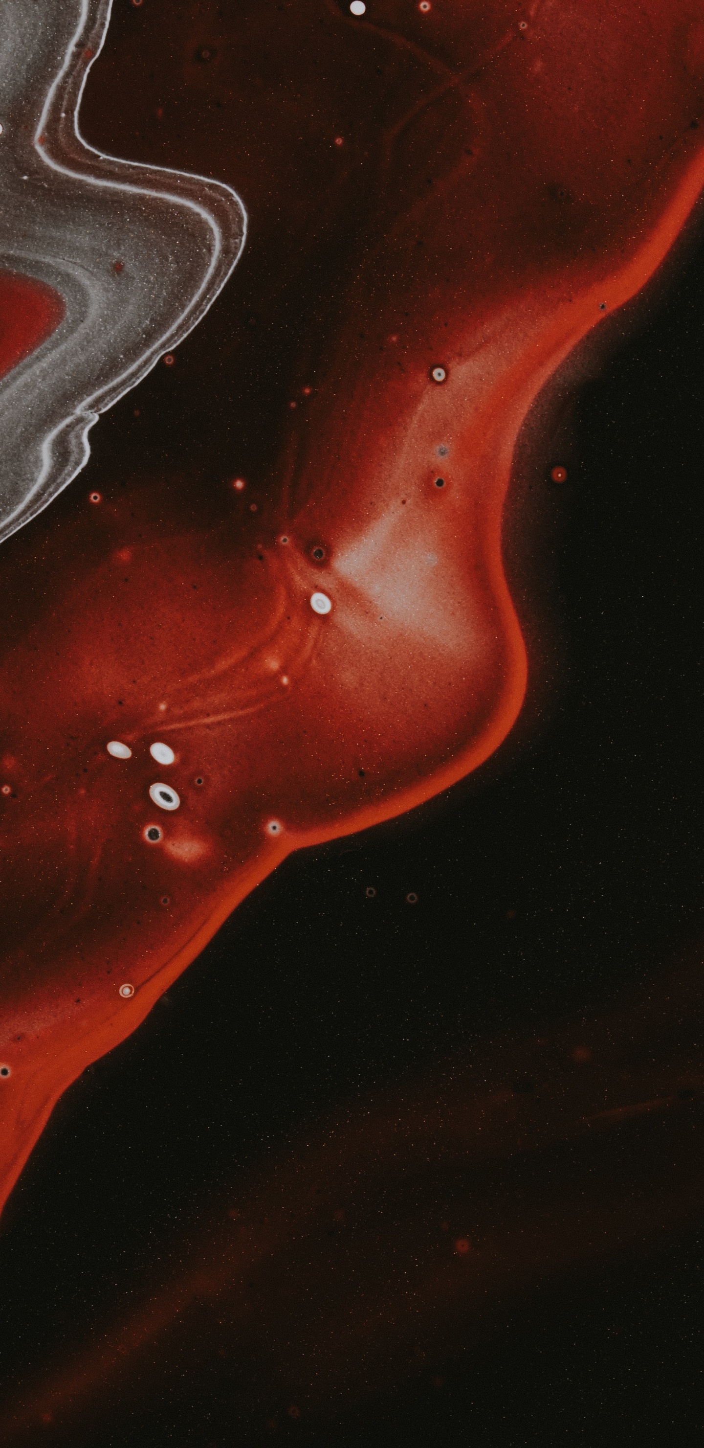 Ambiente, Rojo Blanco Negro, Agua, Naranja, Arte. Wallpaper in 1440x2960 Resolution