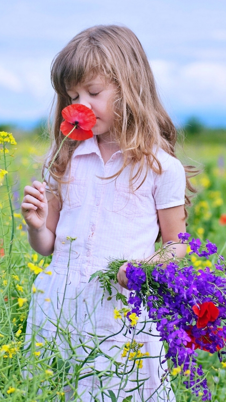 Frühjahr, Wiese, Wildflower, Prairie, Grünland. Wallpaper in 750x1334 Resolution
