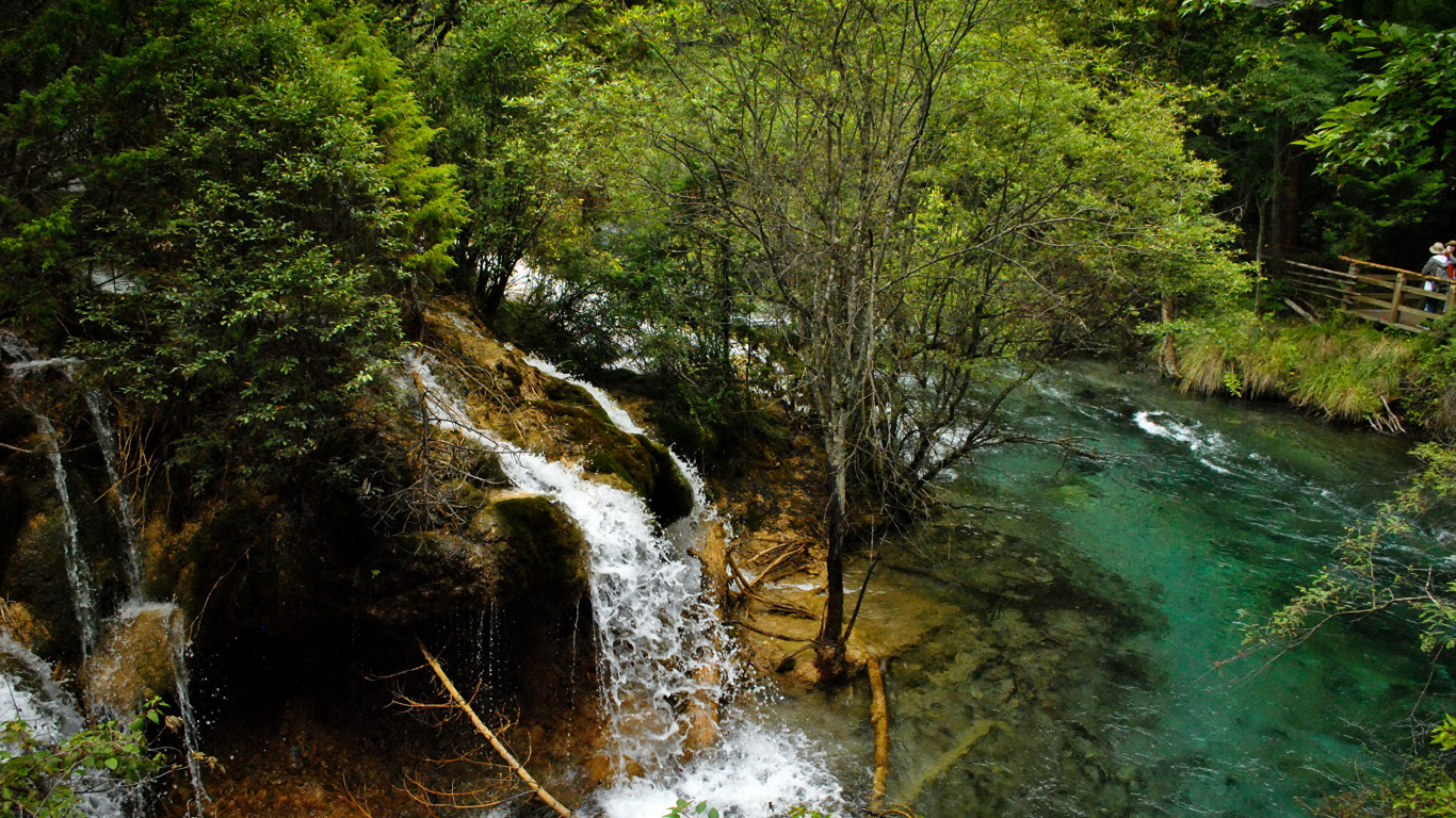Fluss Inmitten Grüner Bäume. Wallpaper in 1366x768 Resolution