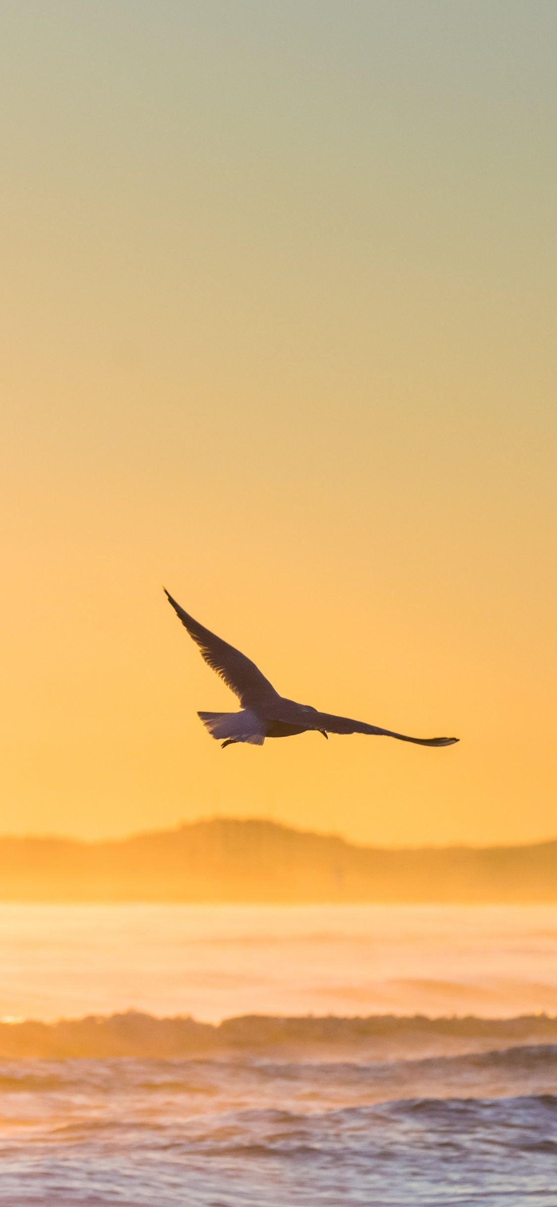 Bird Flying Over The Sea During Sunset. Wallpaper in 1125x2436 Resolution