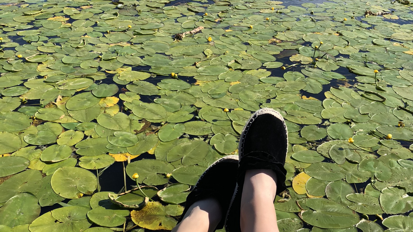 Wasser, Wasserressourcen, Blatt, Menschen in Der Natur, Bank. Wallpaper in 1366x768 Resolution
