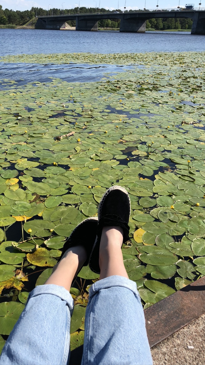 Water, Human, Water Resources, Leaf, People in Nature. Wallpaper in 720x1280 Resolution