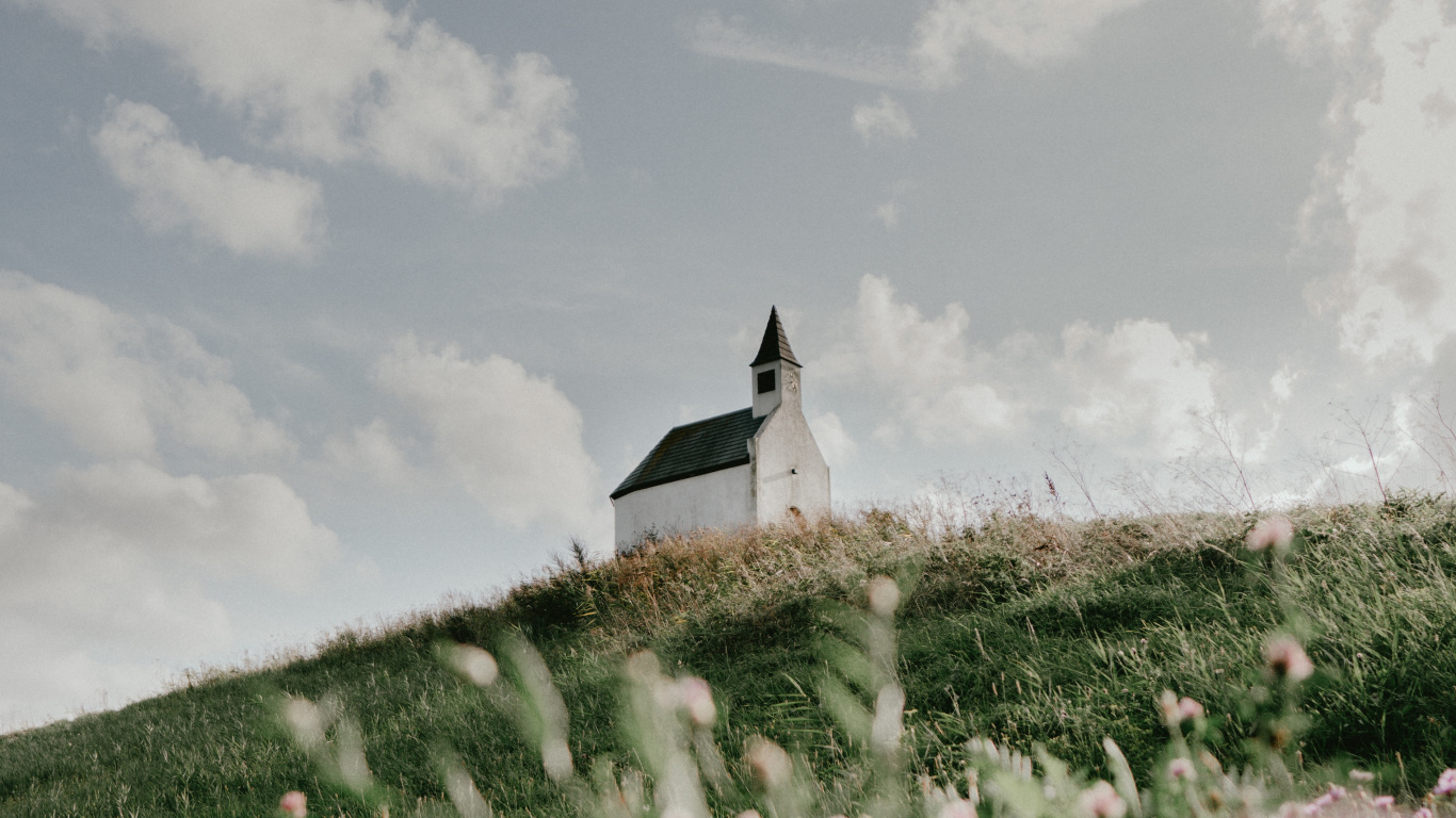 Verano, Hierba de la Familia, Primavera, Sina Weibo, Humanos. Wallpaper in 1366x768 Resolution