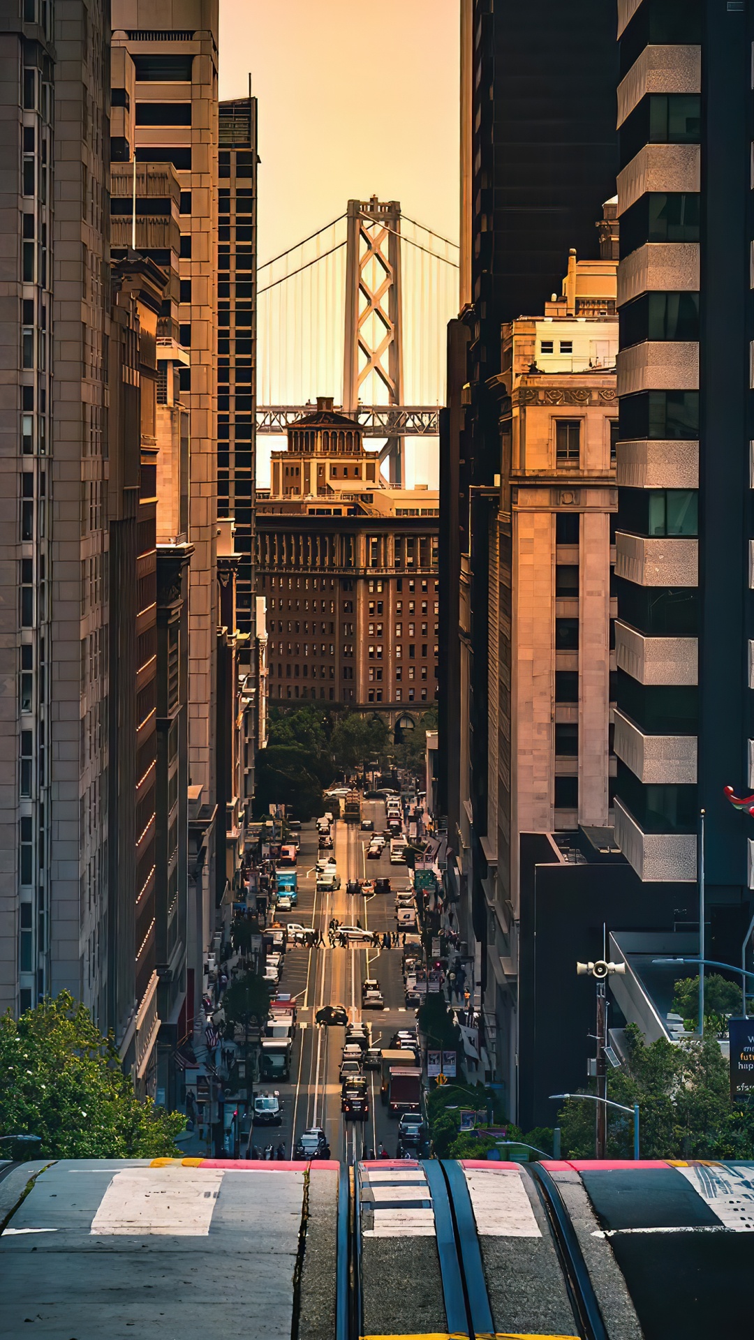 Smartphone, Skyscraper, Building, Daytime, Window. Wallpaper in 1080x1920 Resolution