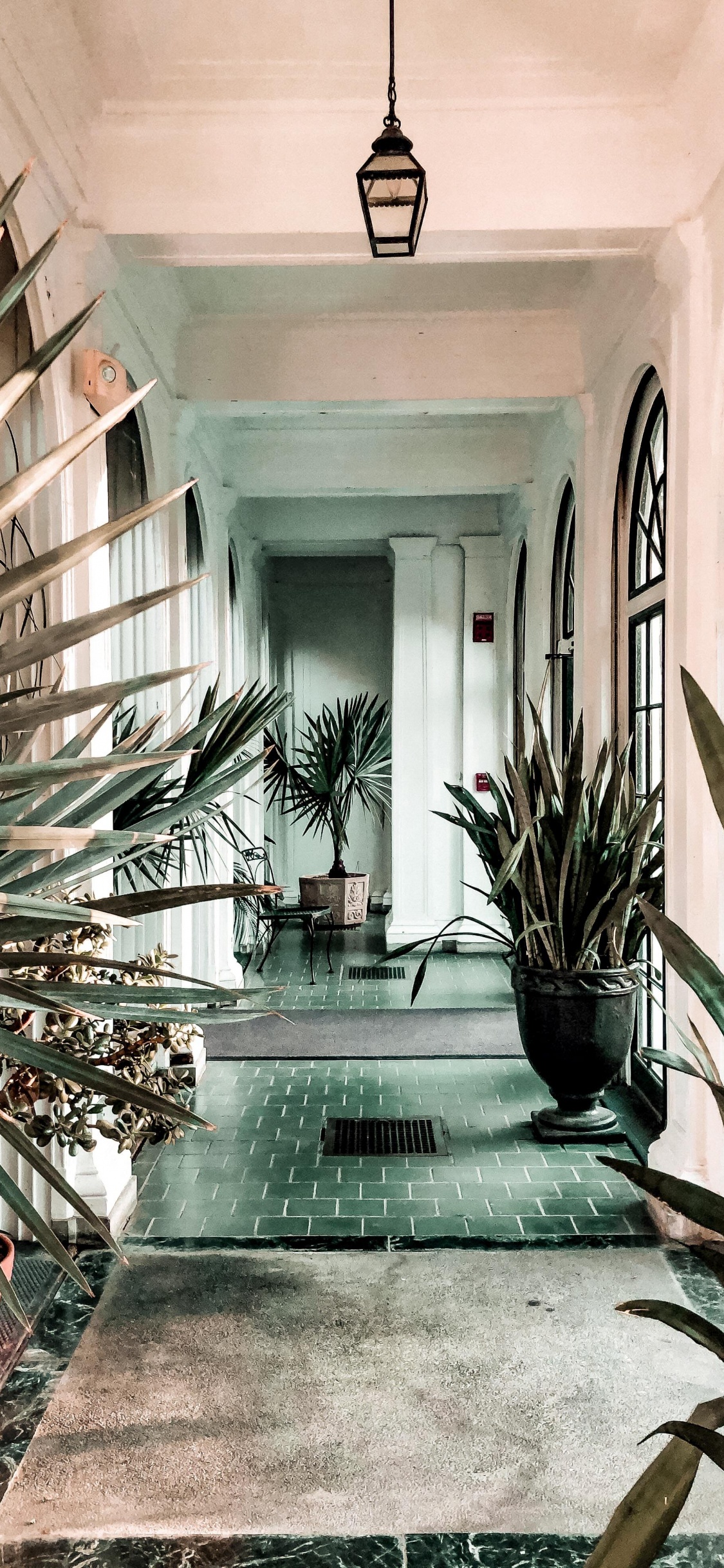 Interior Design, Plant, Property, Picture Frame, Light. Wallpaper in 1125x2436 Resolution