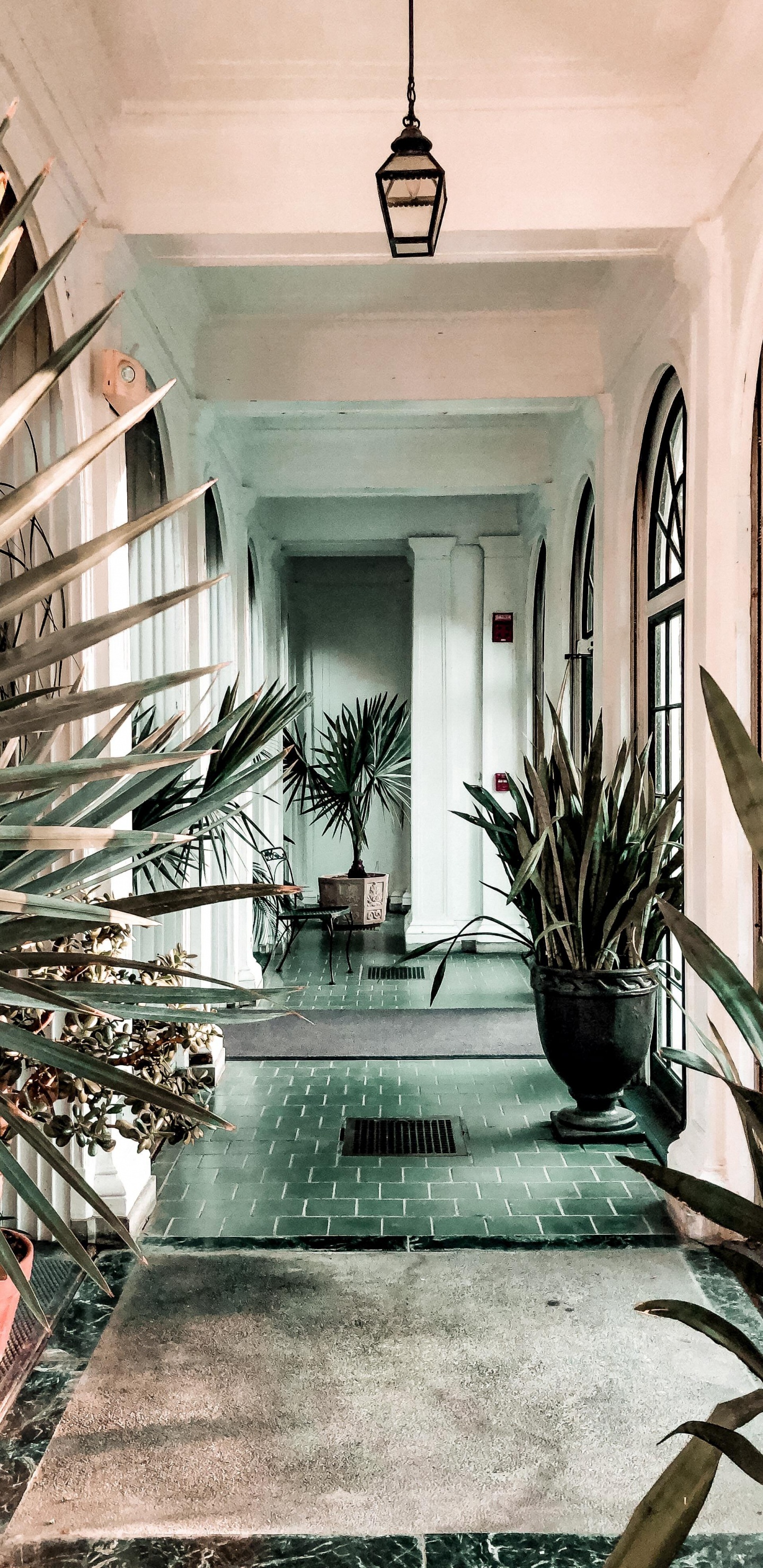 Interior Design, Plant, Property, Picture Frame, Light. Wallpaper in 1440x2960 Resolution