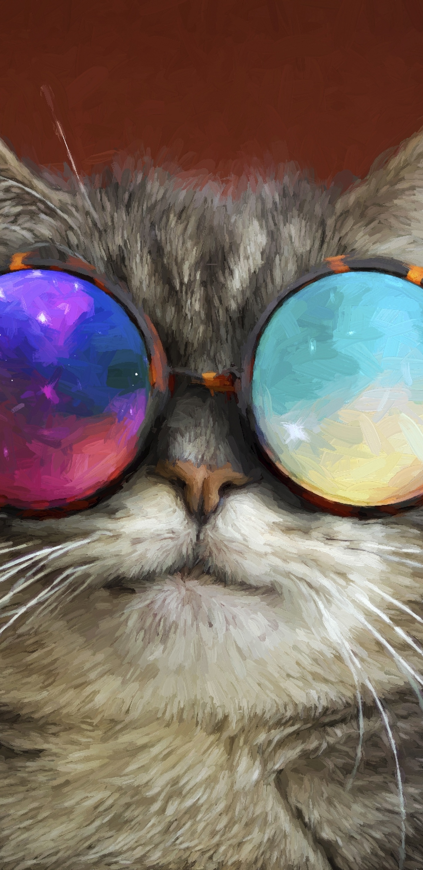 Braun Getigerte Katze Mit Sonnenbrille. Wallpaper in 1440x2960 Resolution