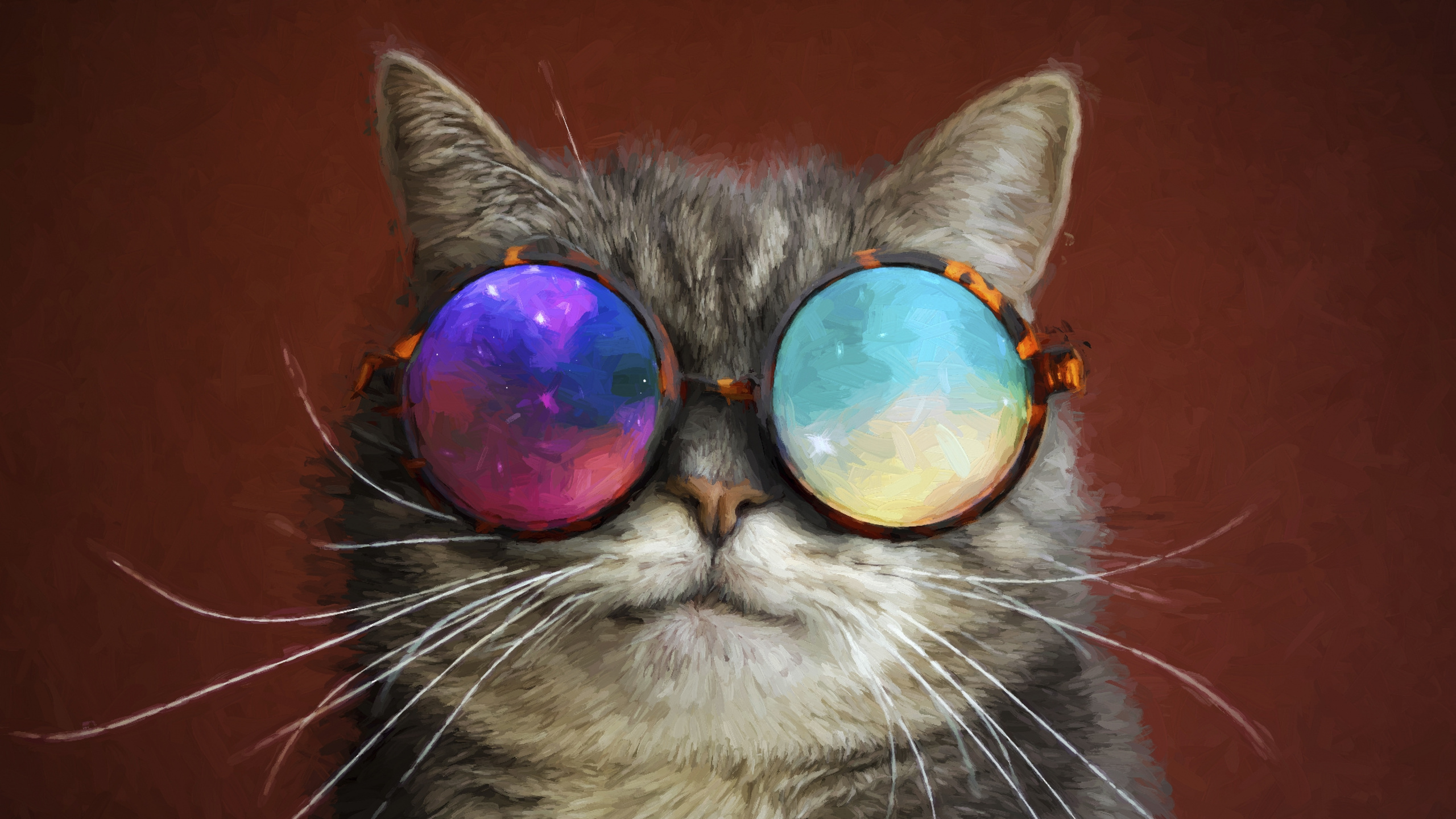 Chat Tigré Brun Portant Des Lunettes de Soleil. Wallpaper in 2560x1440 Resolution