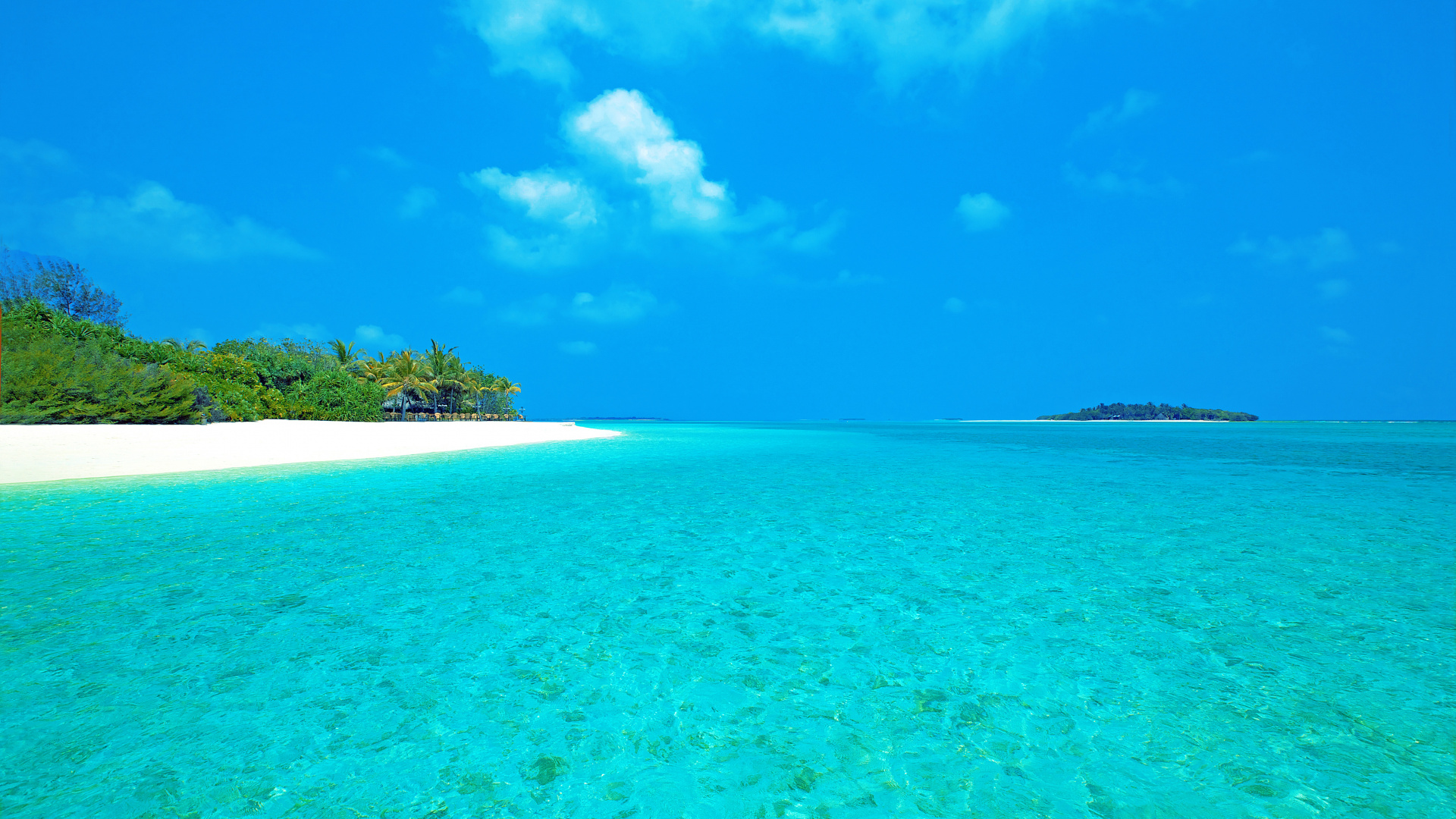 Árboles Verdes en la Isla Bajo un Cielo Azul Durante el Día. Wallpaper in 1920x1080 Resolution