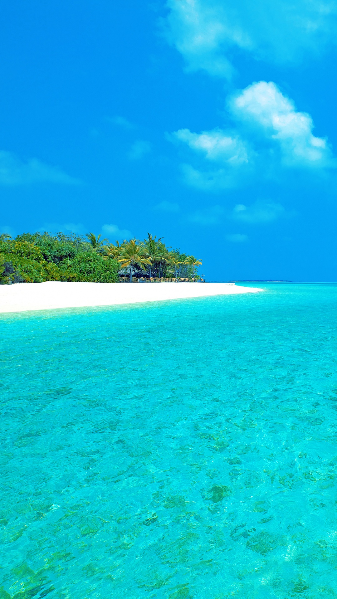 Green Trees on Island Under Blue Sky During Daytime. Wallpaper in 1080x1920 Resolution